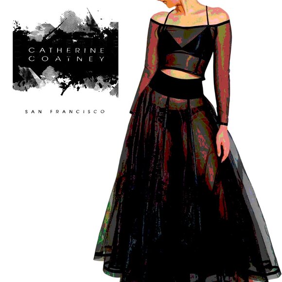 CATHERINE COATNEY ~ Black Mesh Hi-Waist Maxi Skirt ~ XL ~ RARE ~ EUC - Picture 14 of 14